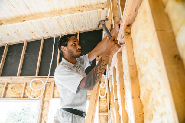 Best Affordable Insulation Services  in USA